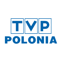 invicta reserve banhado a ouro